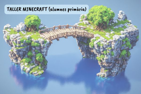TALLER MINECRAFT educació