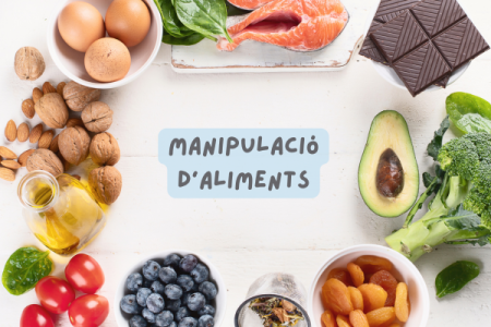 (online) Curs Manipulació Aliments
